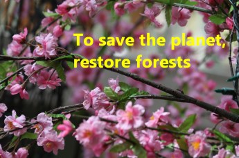 21 To save the planet, restore forests