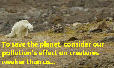 To save the planet, consider our pollution's effect on creatures weaker than us